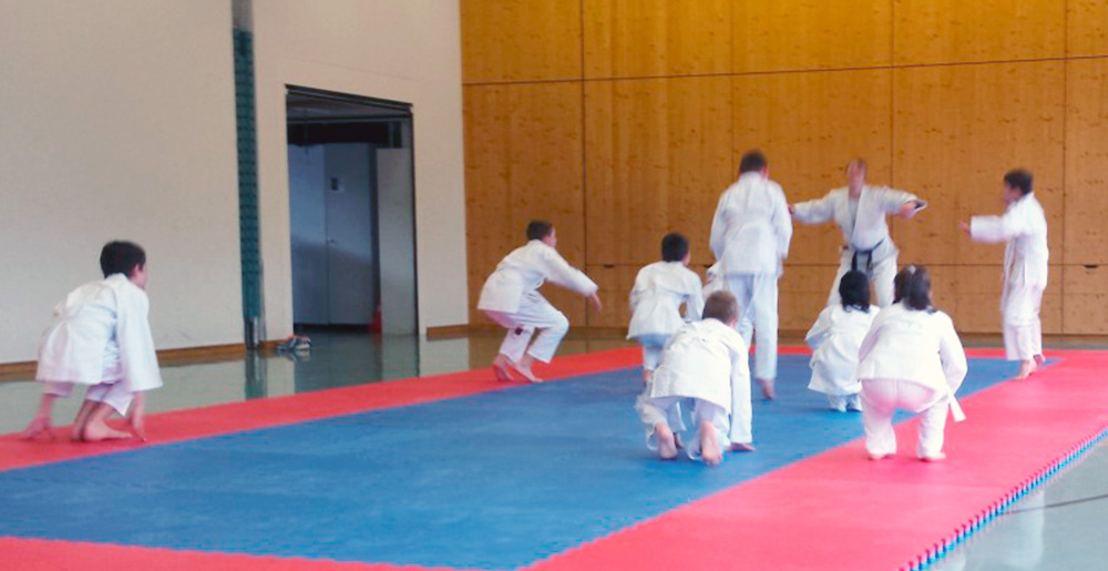judotraining